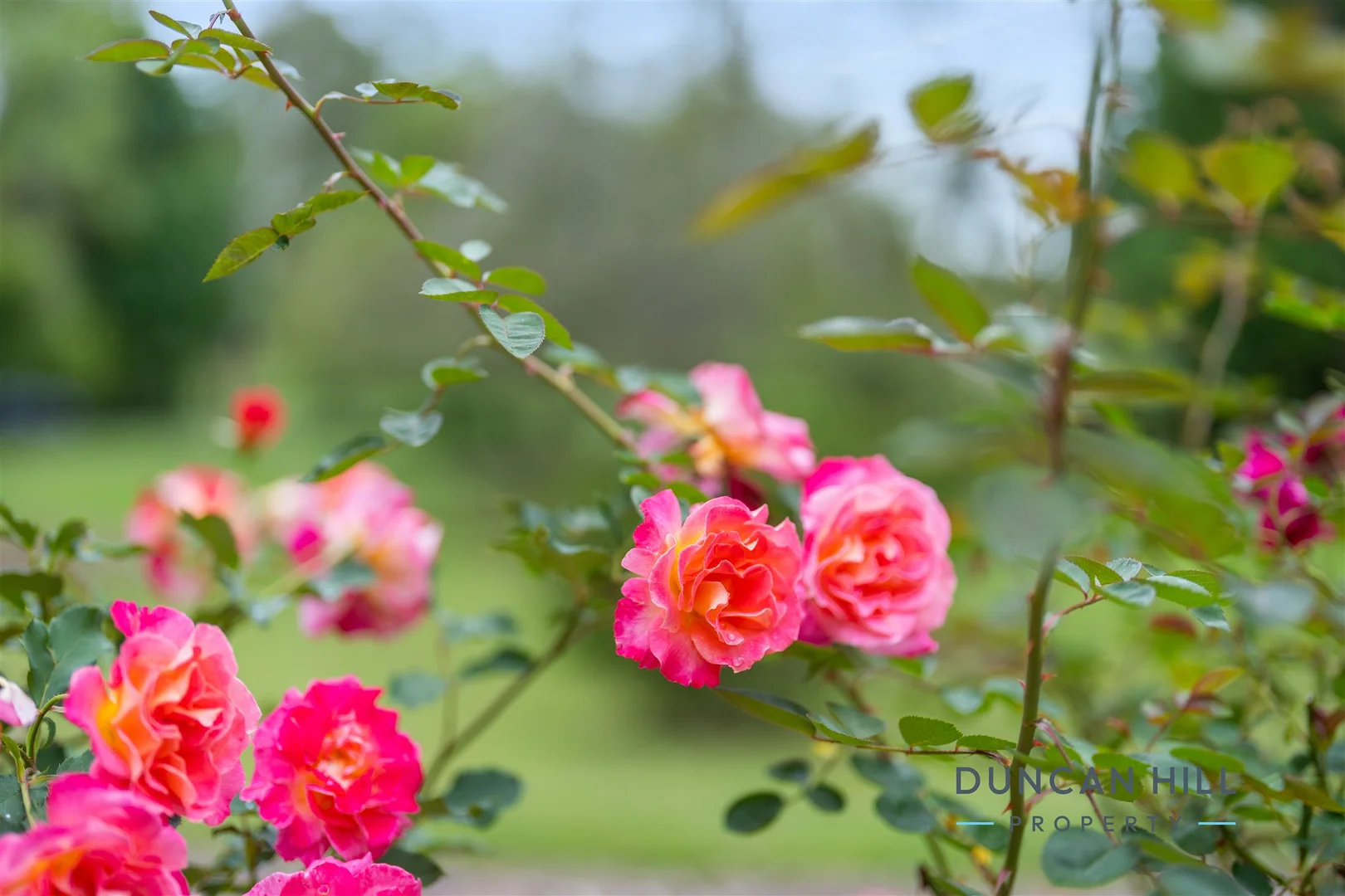 Additional image 17 of 57 Osborne Road, Burradoo NSW 2576