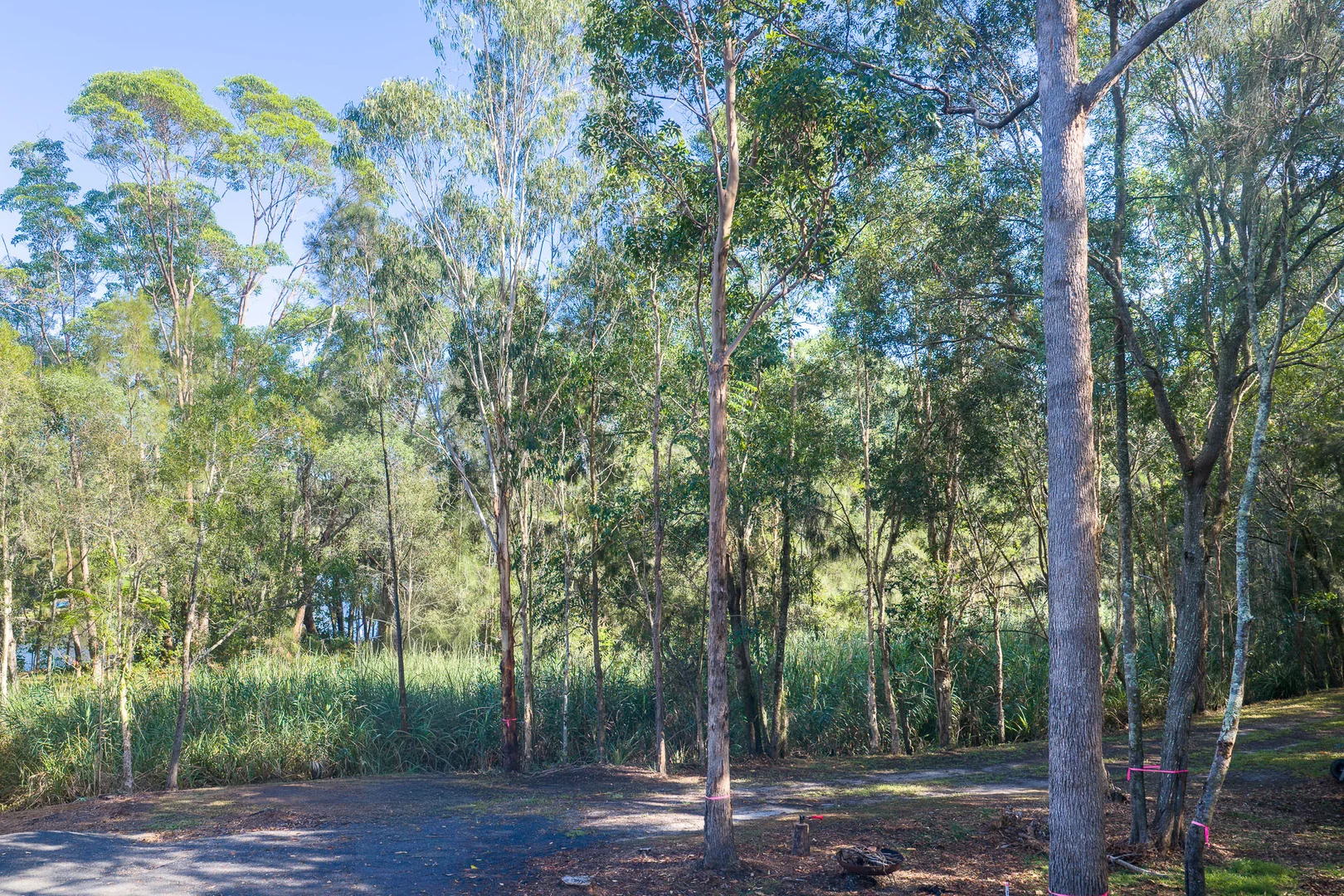 Additional image 17 of 78 Redgate Road, South Golden Beach NSW 2483