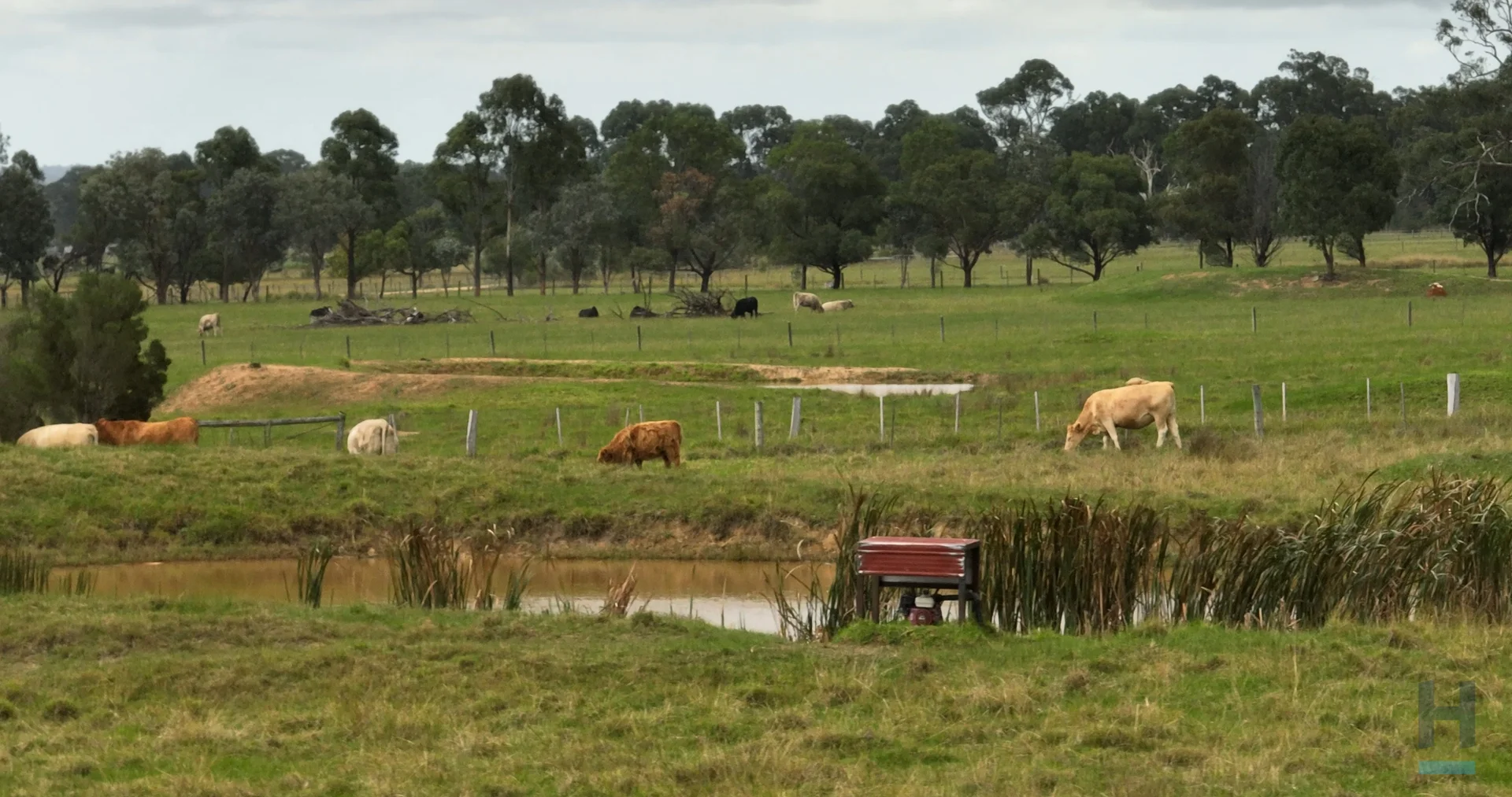 Additional image 26 of 160 Olivers Road, Lucknow VIC 3875