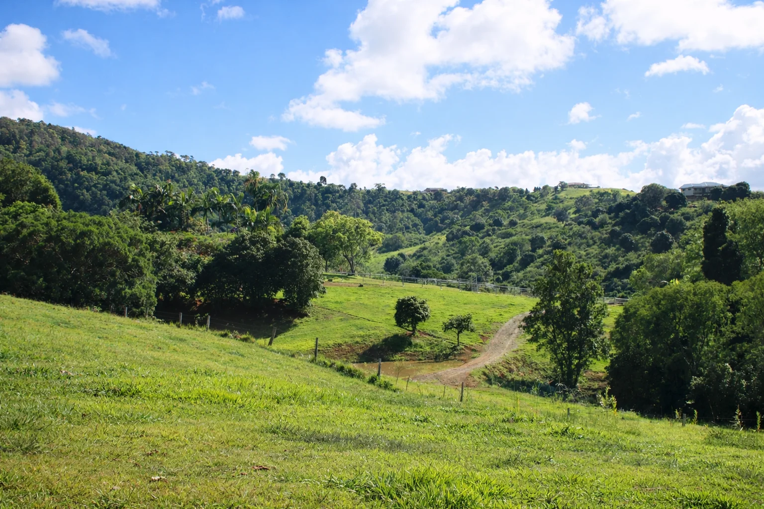 Additional image 4 of 205 Allen Road, Chatsworth QLD 4570