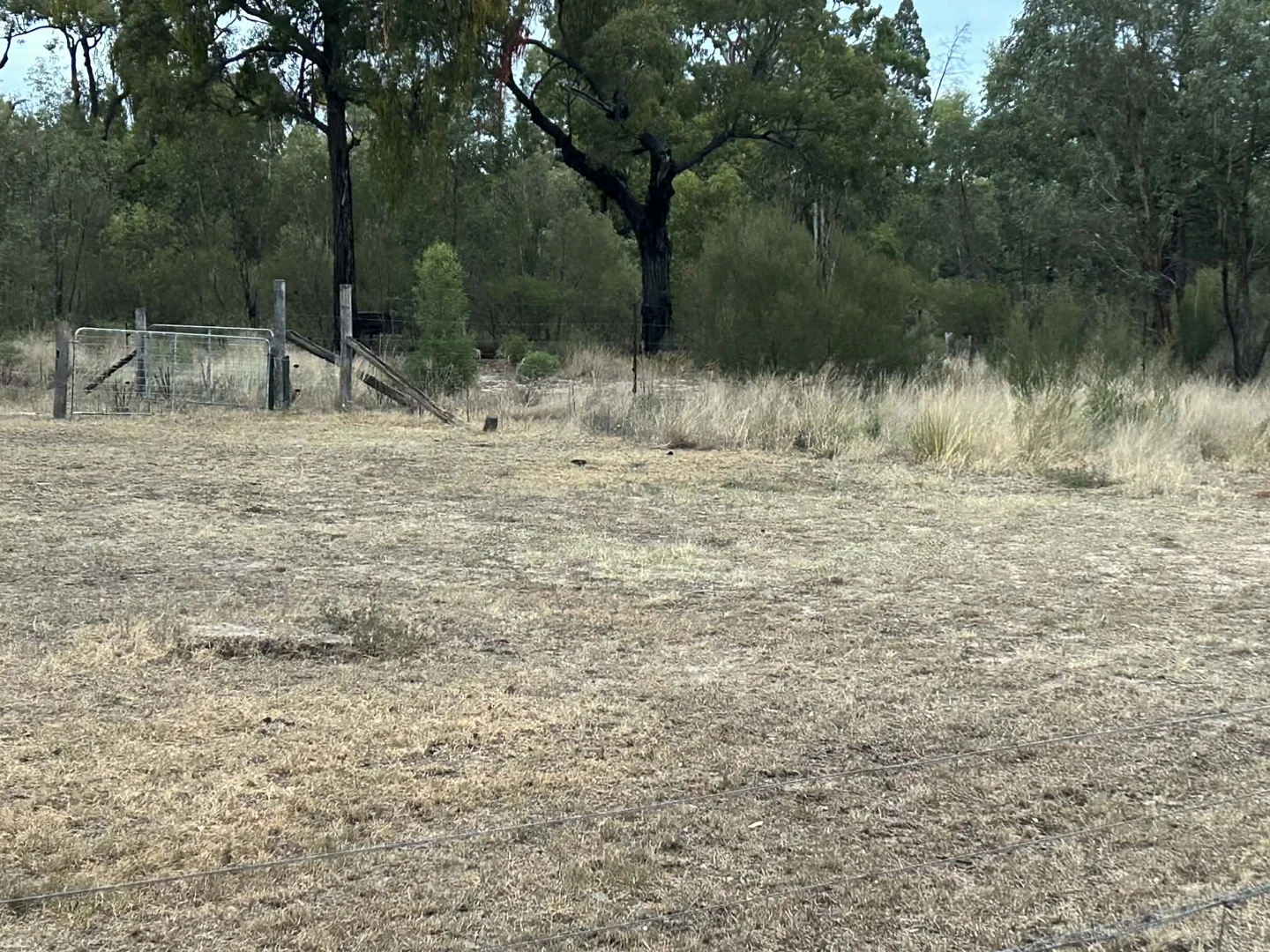 Additional image 11 of 1610 Tobacco Road, Coolmunda QLD 4387