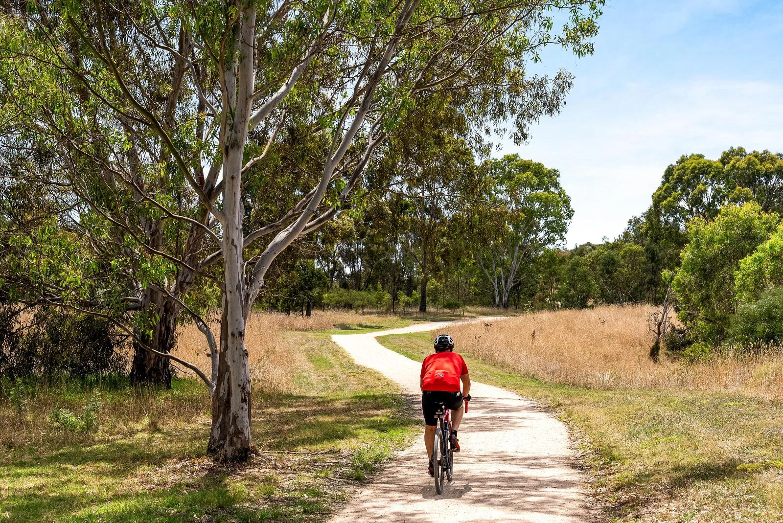 Additional image 20 of 52 Canning Street, Avondale Heights VIC 3034