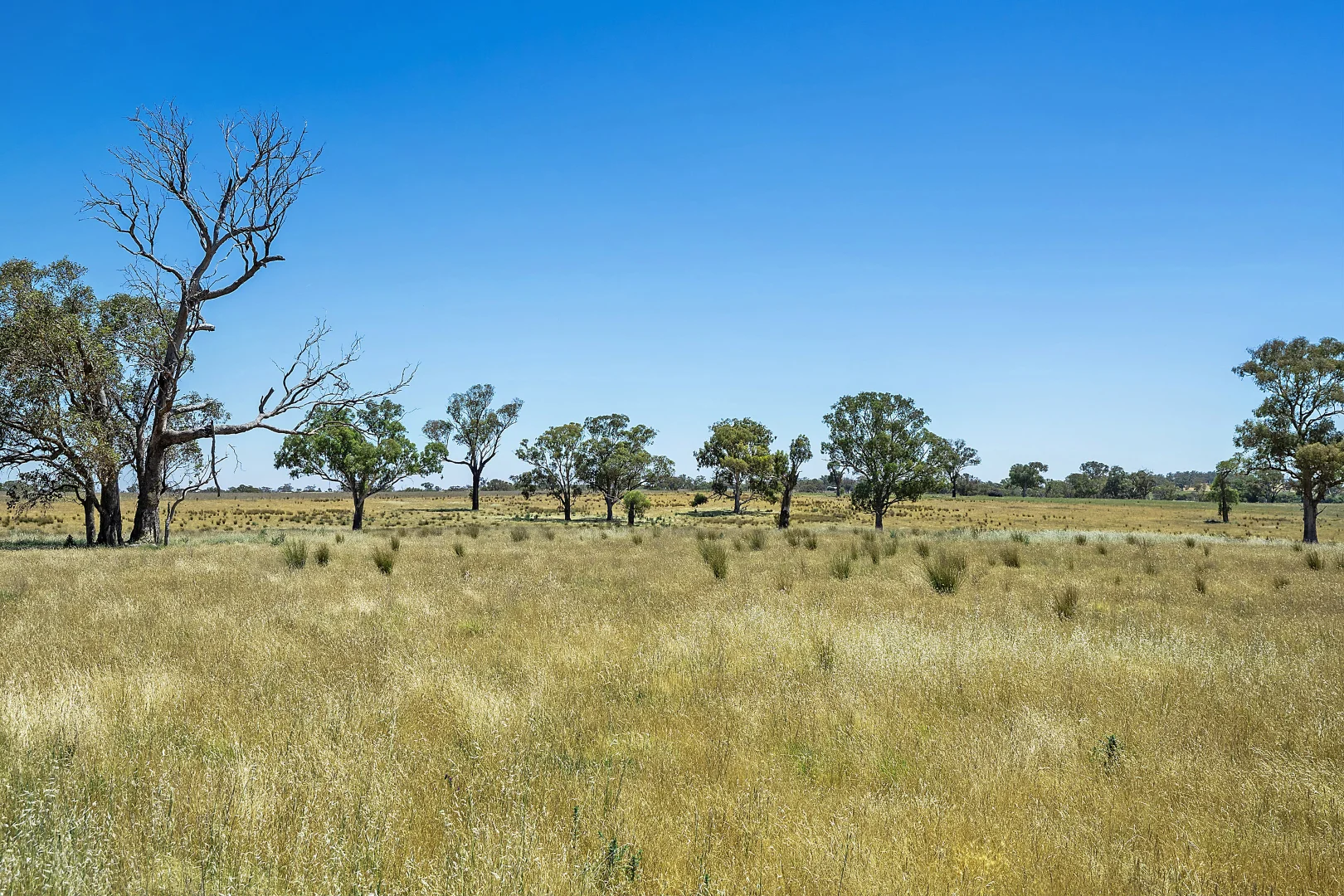 Additional image 16 of 2593 Four Mile Creek Road, Orange NSW 2800