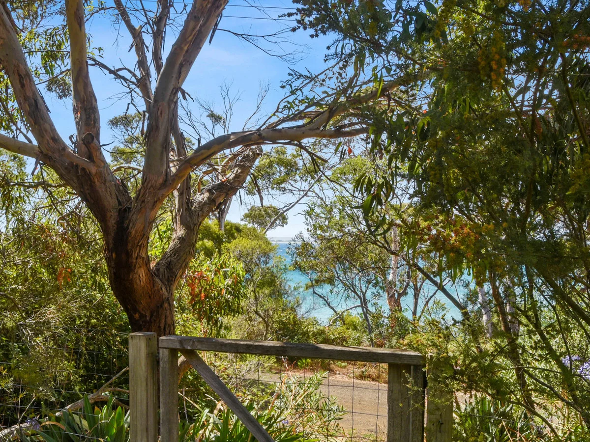 Additional image 16 of 112 Westwood Street, Bridport TAS 7262