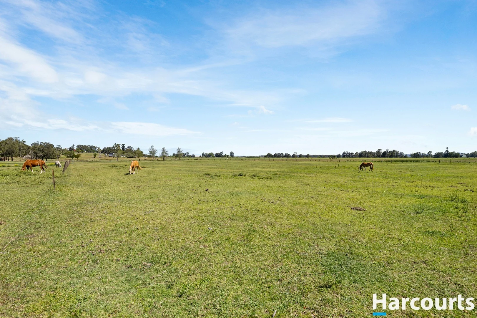 Additional image 13 of 34 Market Street, Hinton NSW 2321