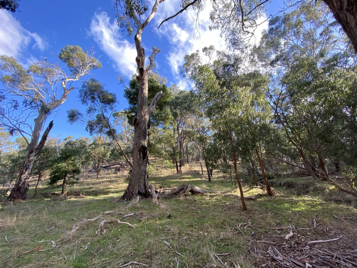 Additional image 8 of 5 Atchison Road, Morrisons VIC 3334