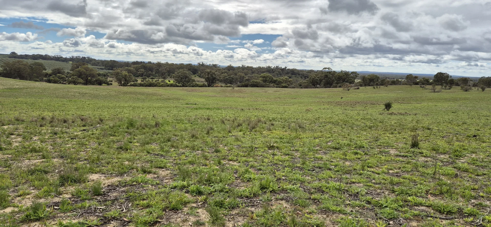 Additional image 19 of 197 Millbank Road, Cowalla WA 6503