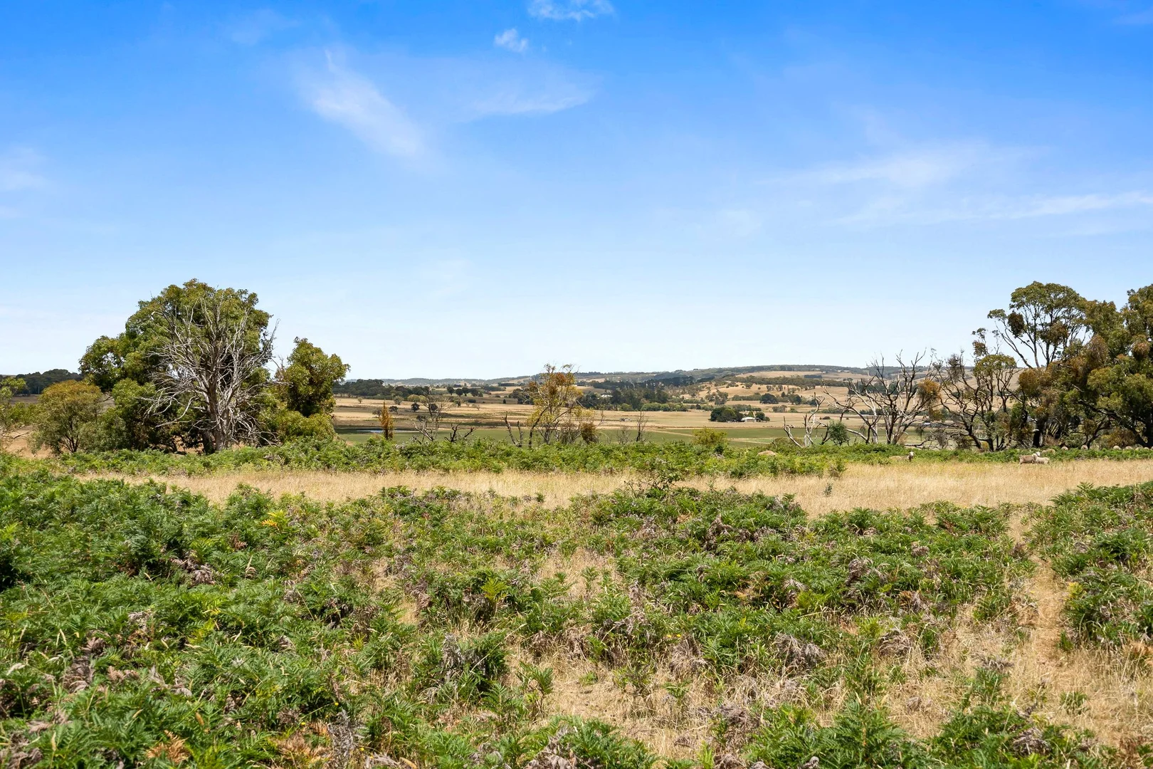 Additional image 11 of 171 Boongarra Road, Laggan via, Crookwell NSW 2583