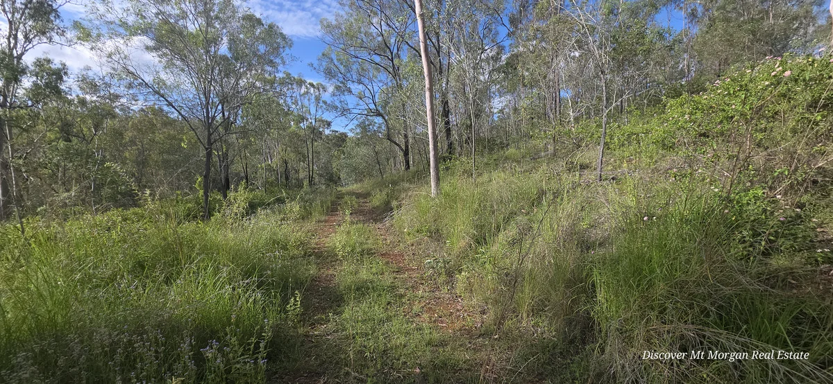 Additional image 14 of Lot 9 Struck oil Road, Struck Oil QLD 4714