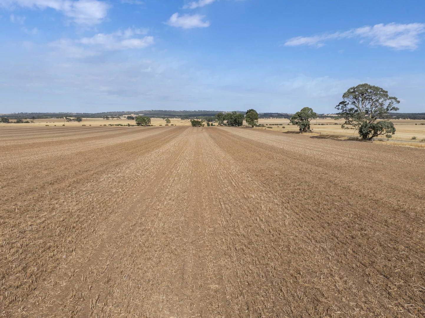 Additional image 5 of 'Murrays' Orana Road, Marrabel SA 5413