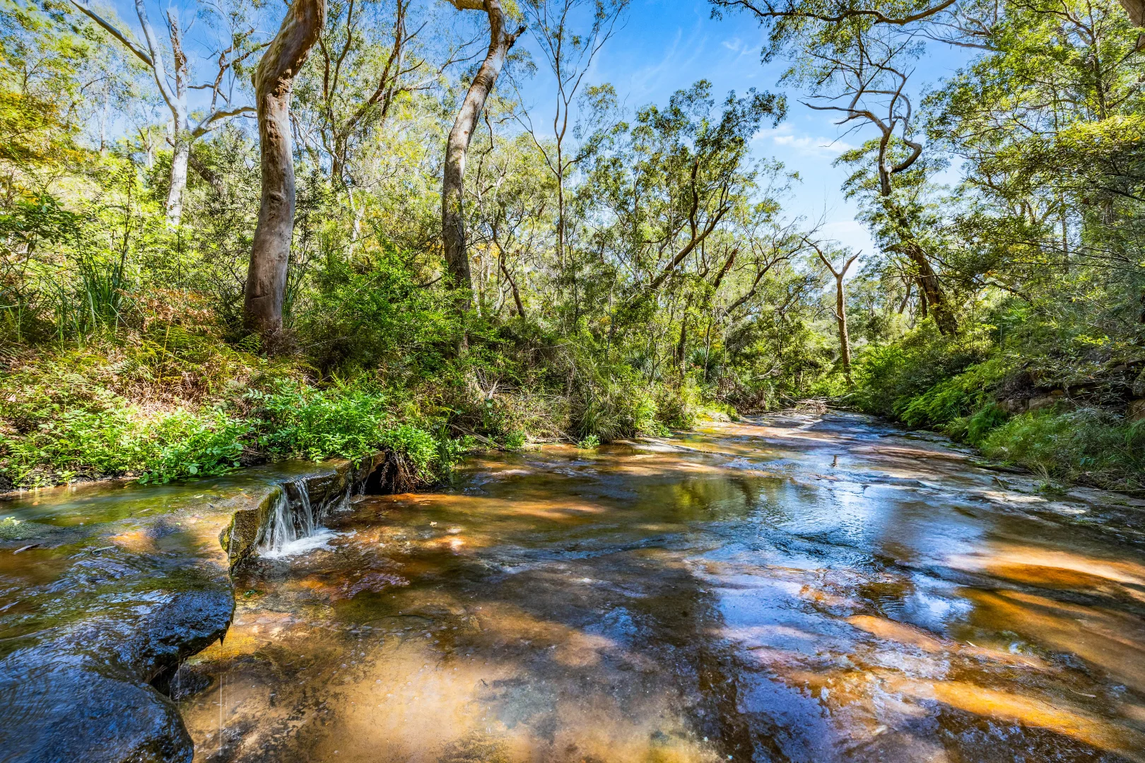 Additional image 9 of 14 Arrunga Road, Arcadia NSW 2159