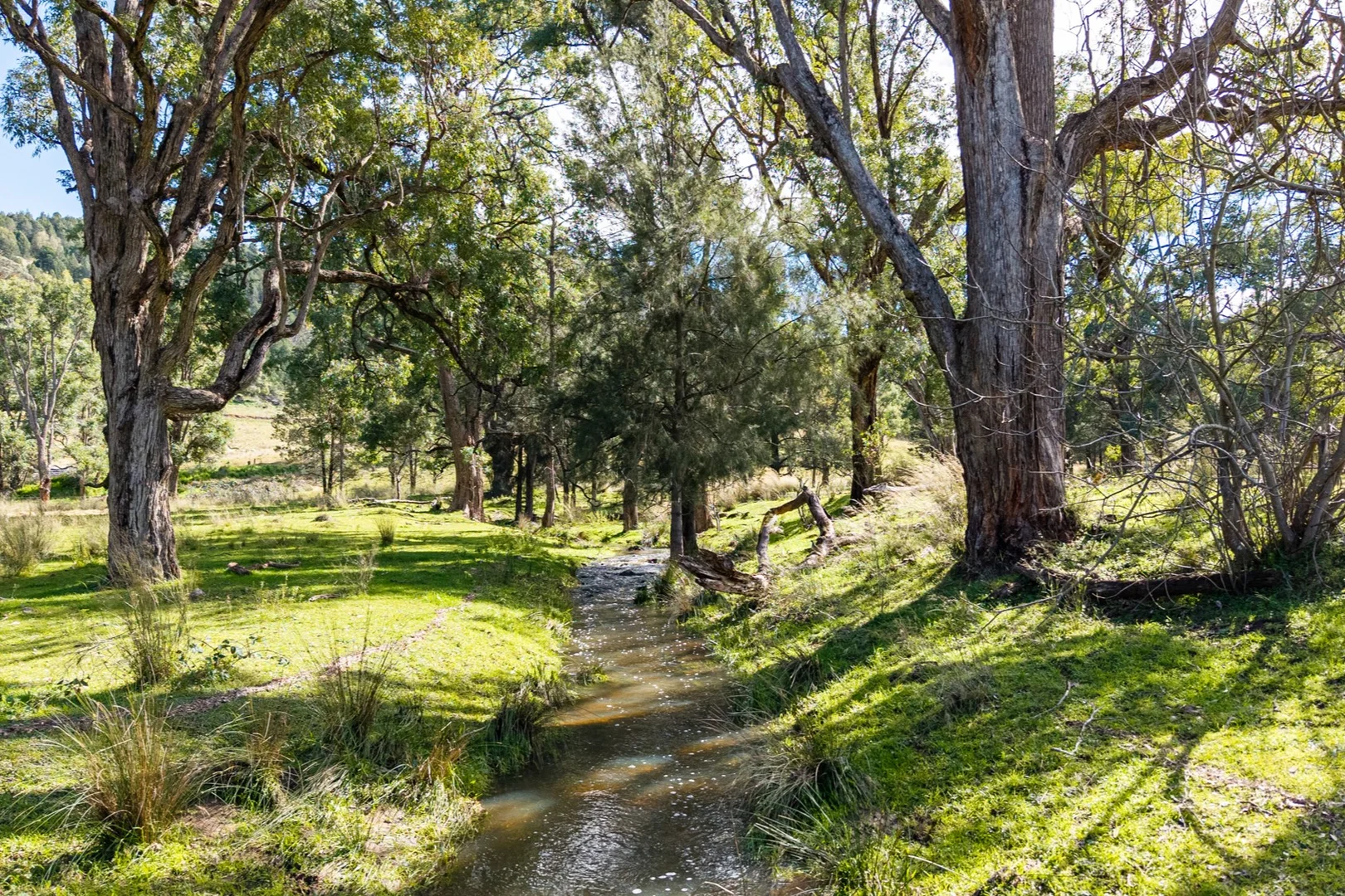 Additional image 32 of 24 Drop Bear Lane, Tamworth NSW 2340