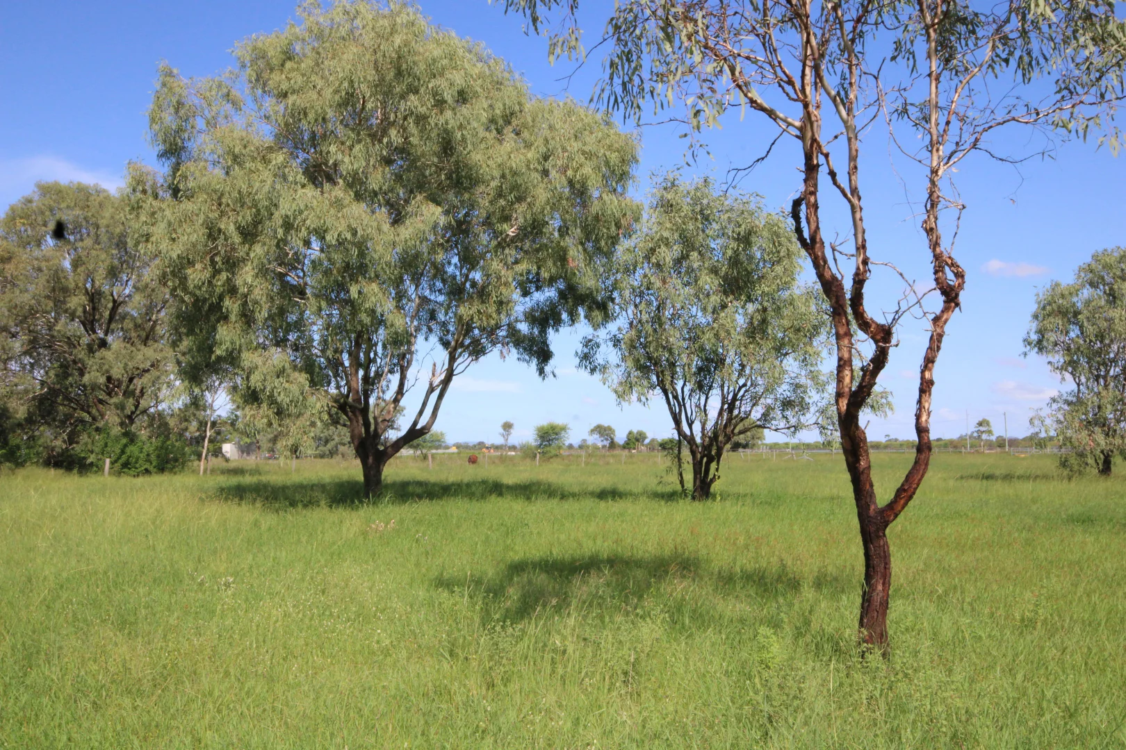Additional image 27 of 366 GEORGE STREET, Depot Hill QLD 4700