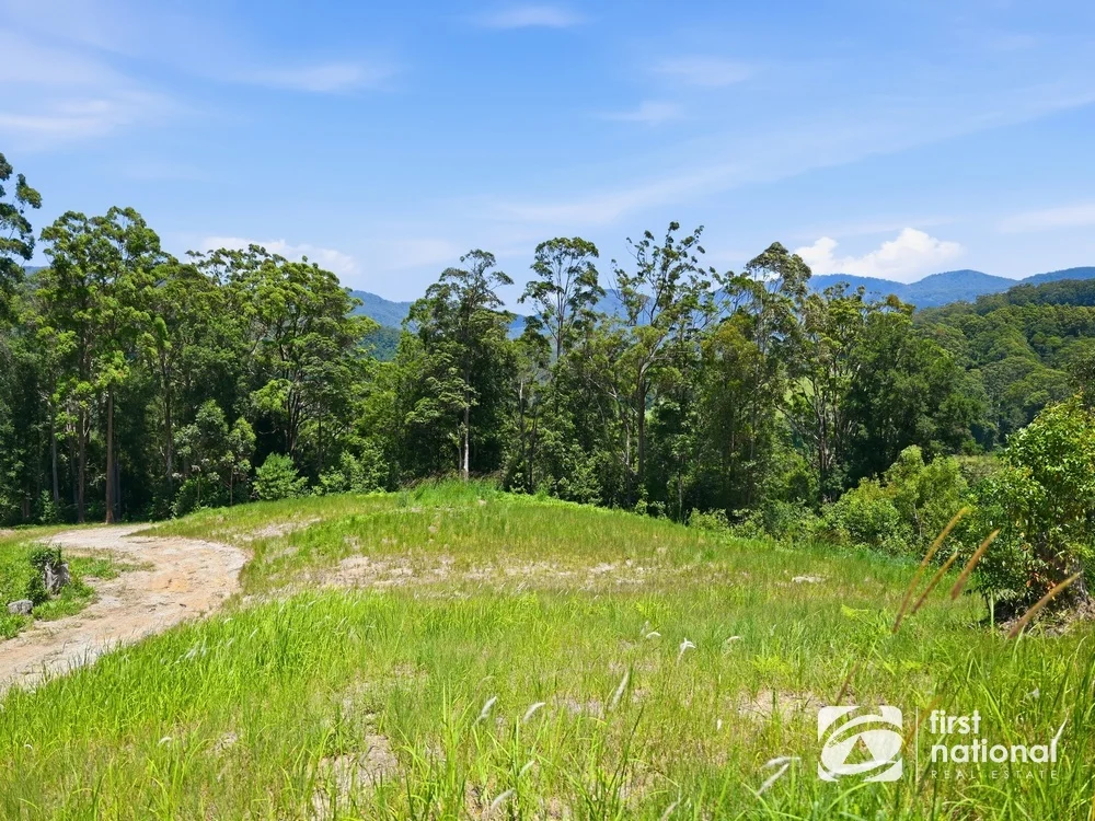 Additional image 6 of Lot 65 North Island Loop Road, Upper Orara NSW 2450