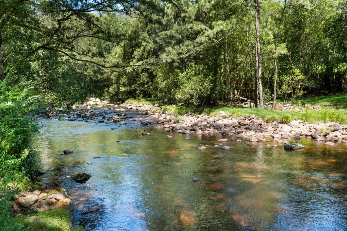 Additional image 4 of 580 Wattamolla Road, Wattamolla NSW 2535