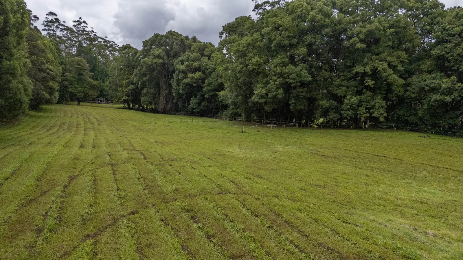 Additional image 20 of 1596 Kalang Road, Bellingen NSW 2454