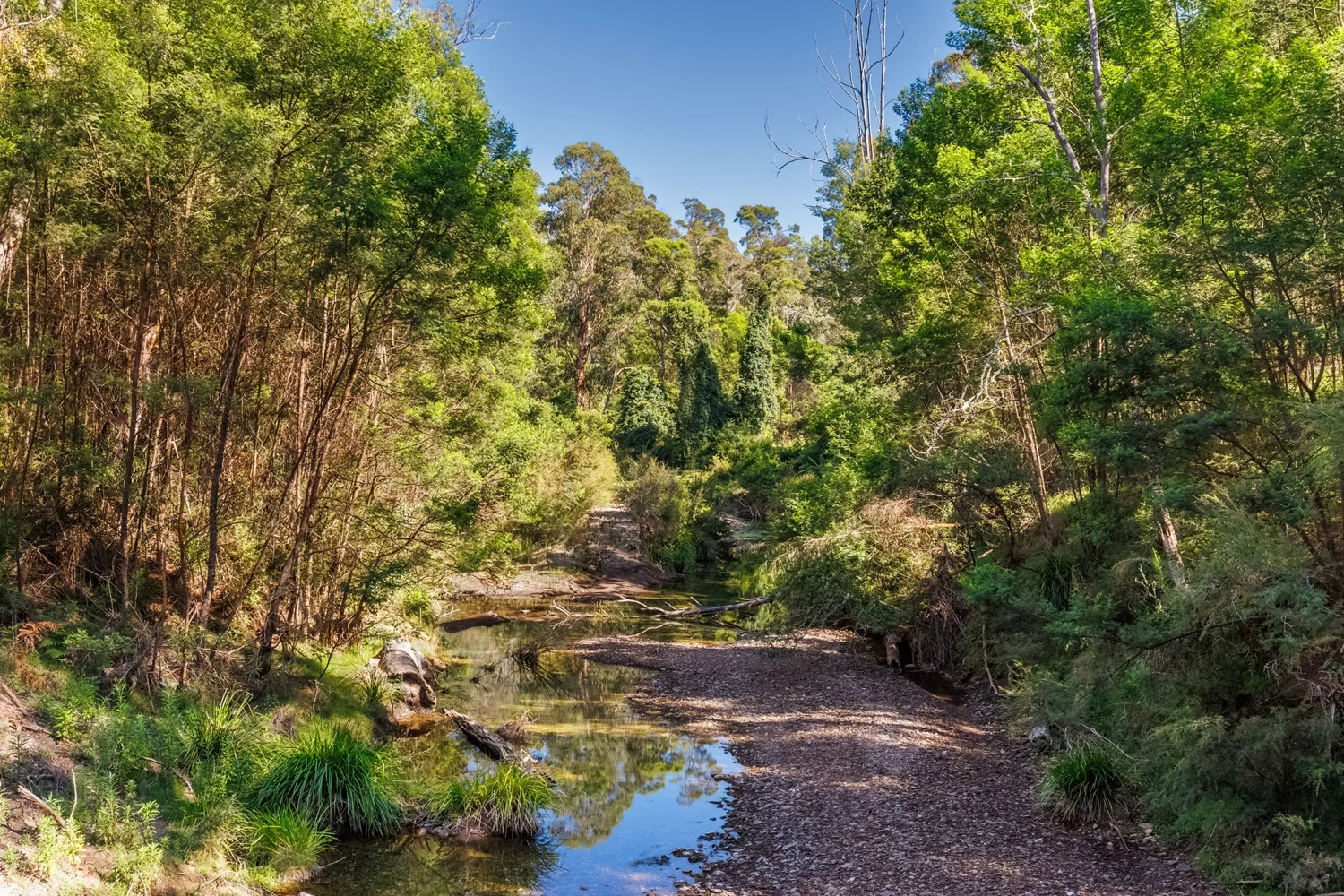 Additional image 3 of 463 Towamba Rd, NULLICA Via, Eden NSW 2551