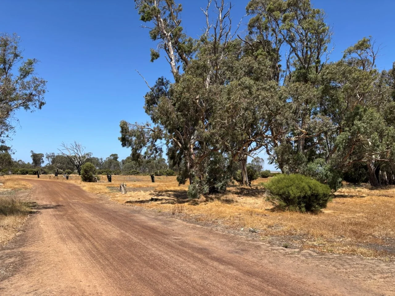 Additional image 10 of 205 Settlers Road, Wangary SA 5607