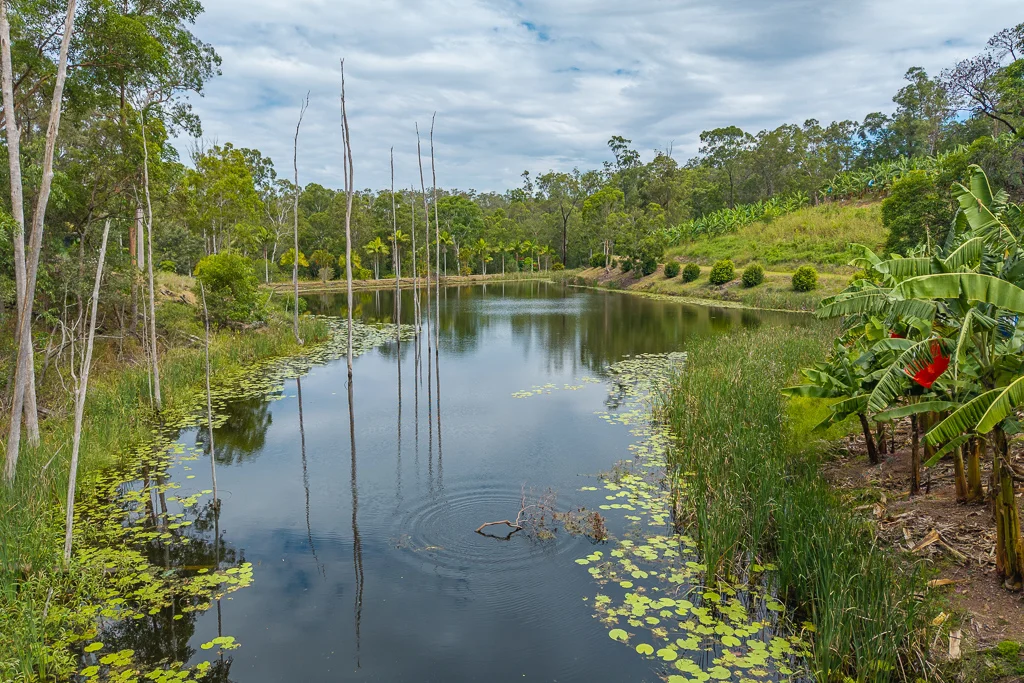 Additional image 9 of 349 Jackson Road, Wamuran QLD 4512