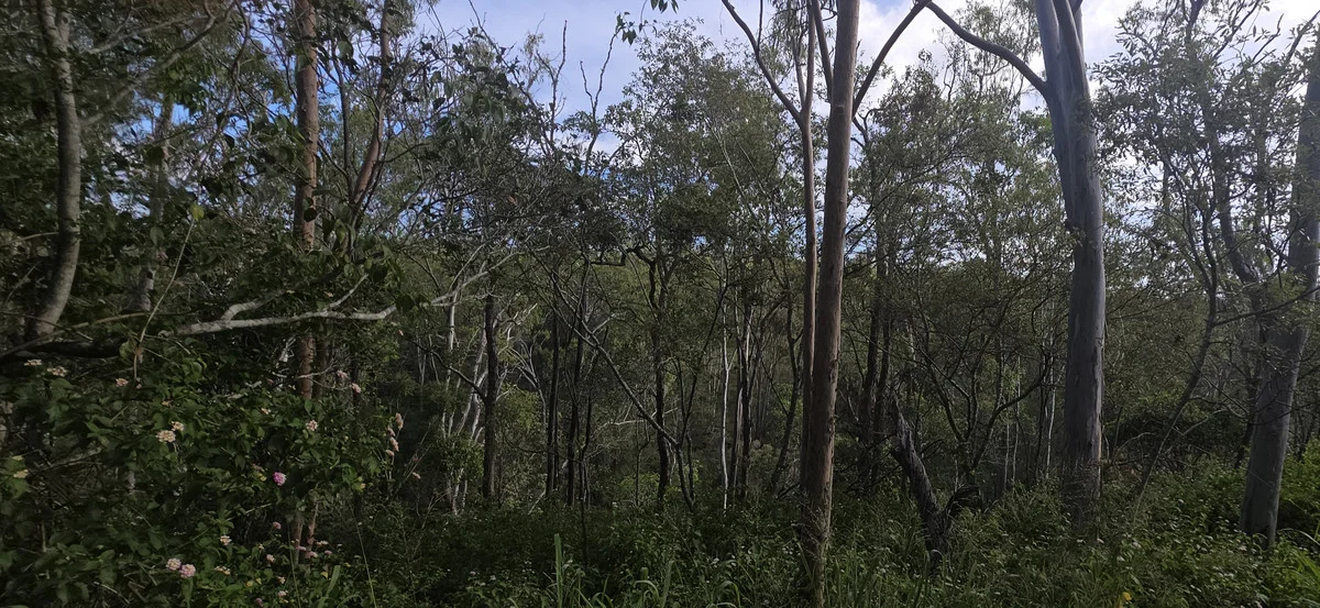 Additional image 19 of Lot 9 Struck oil Road, Struck Oil QLD 4714