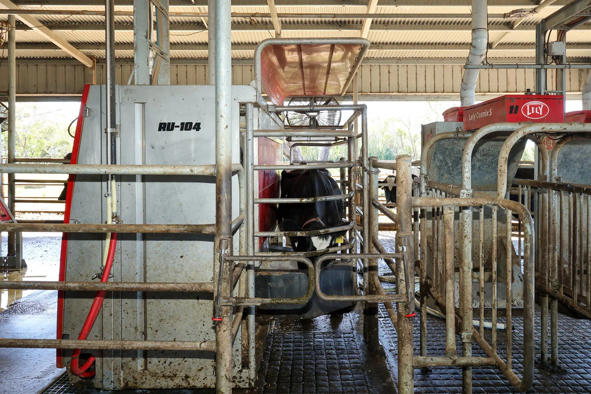 Additional image 10 of 111 Smith Street, Heywood VIC 3304