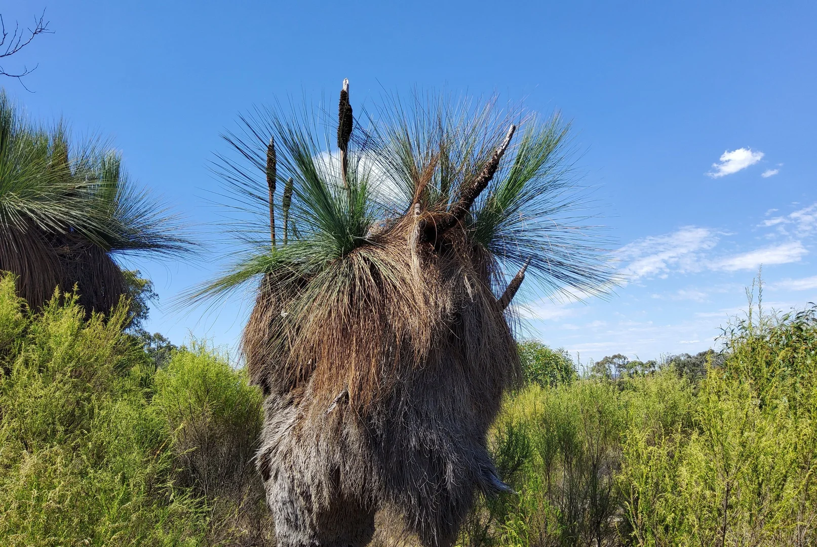 Additional image 9 of Lot 12 Heathcote-Nagambie Road, Moormbool West VIC 3523