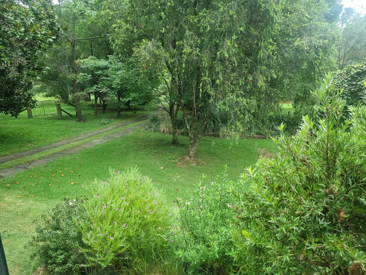 Additional image 27 of 1045 Old Hume Hwy, Alpine NSW 2575