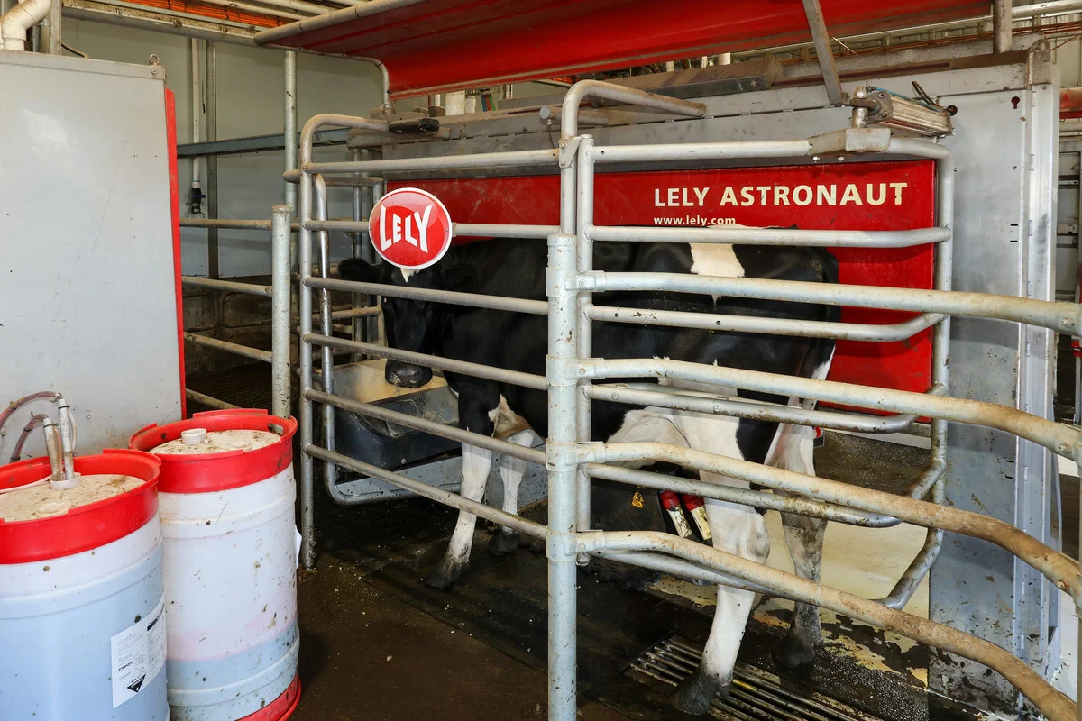 Additional image 13 of 111 Smith Street, Heywood VIC 3304