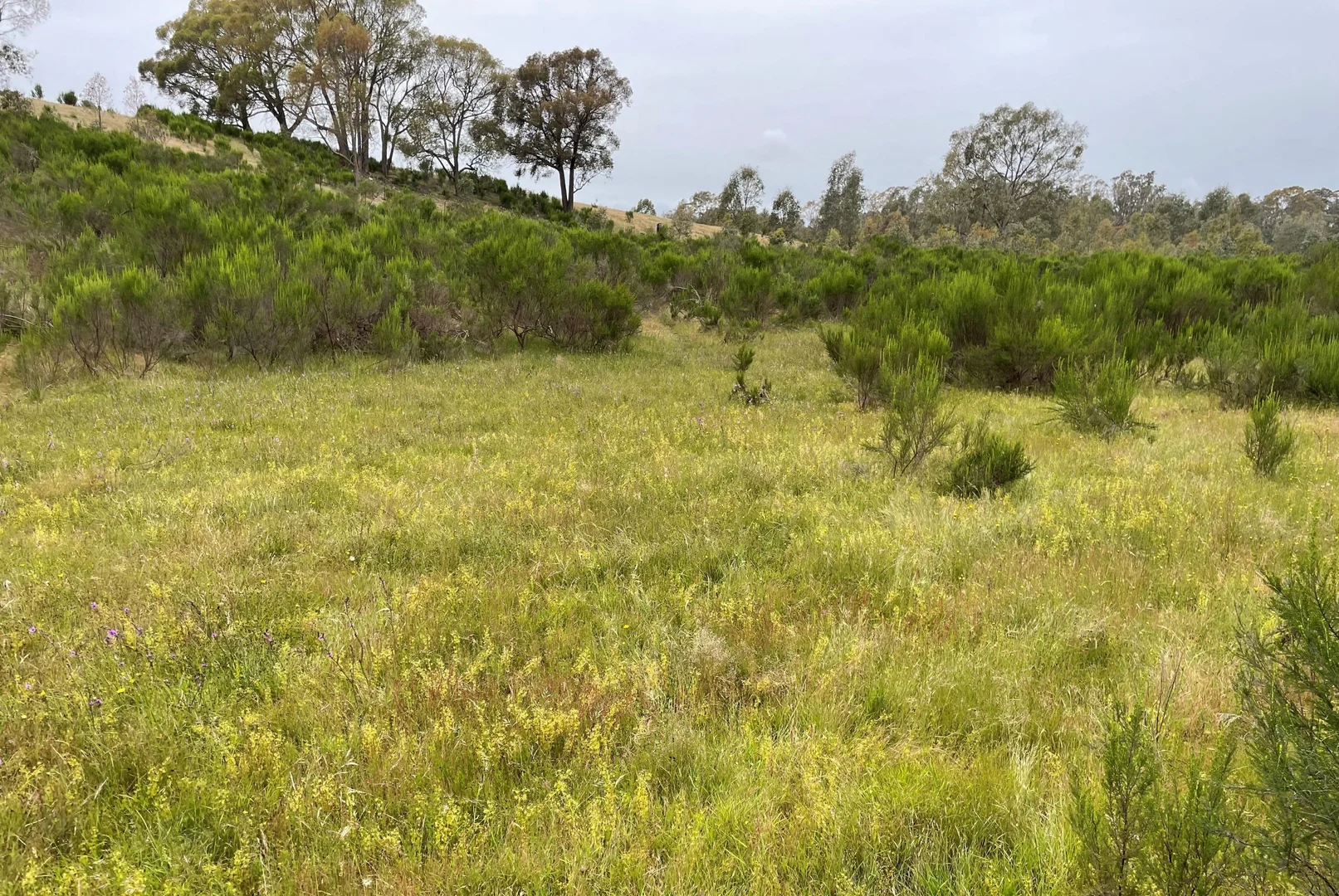 Additional image 7 of Lot 12 Heathcote-Nagambie Road, Moormbool West VIC 3523