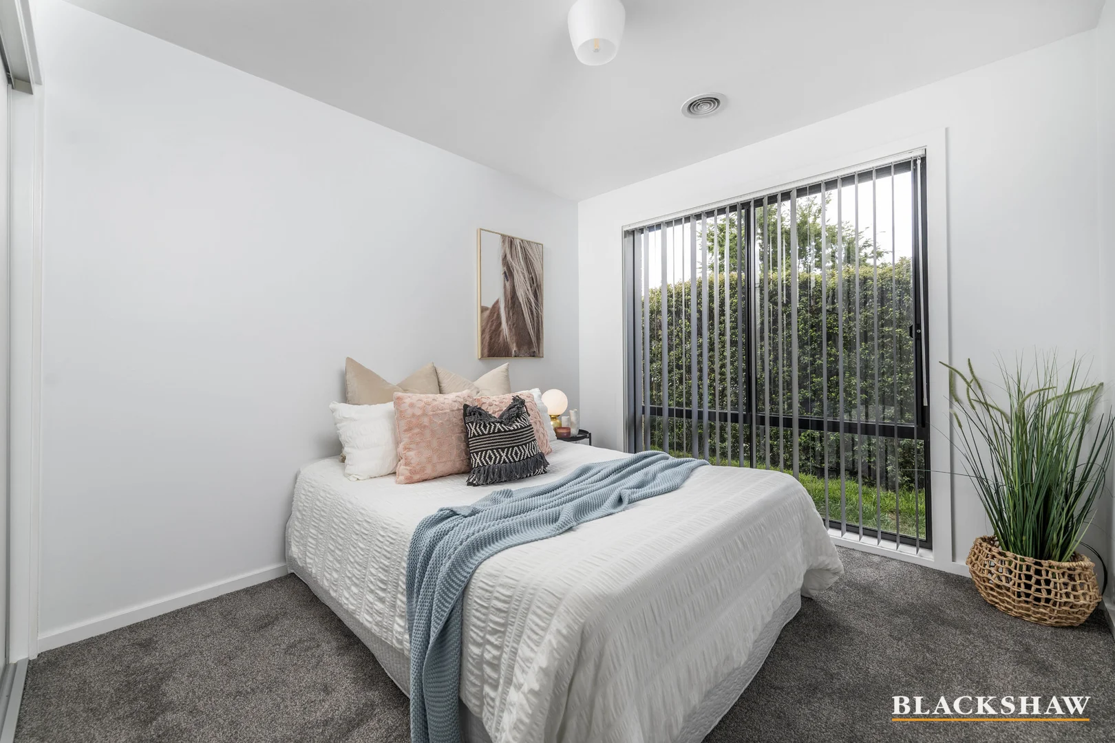 Additional image 7 of 24 Briger Street, Taylor ACT 2913