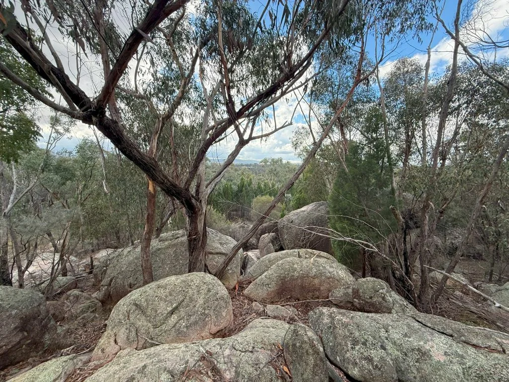 Additional image 10 of Lot/89 Fletcher Road, Ballandean QLD 4382