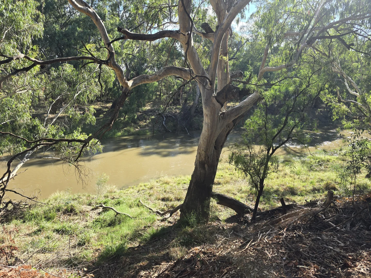 Additional image 23 of 9 Graf Street, Condobolin NSW 2877