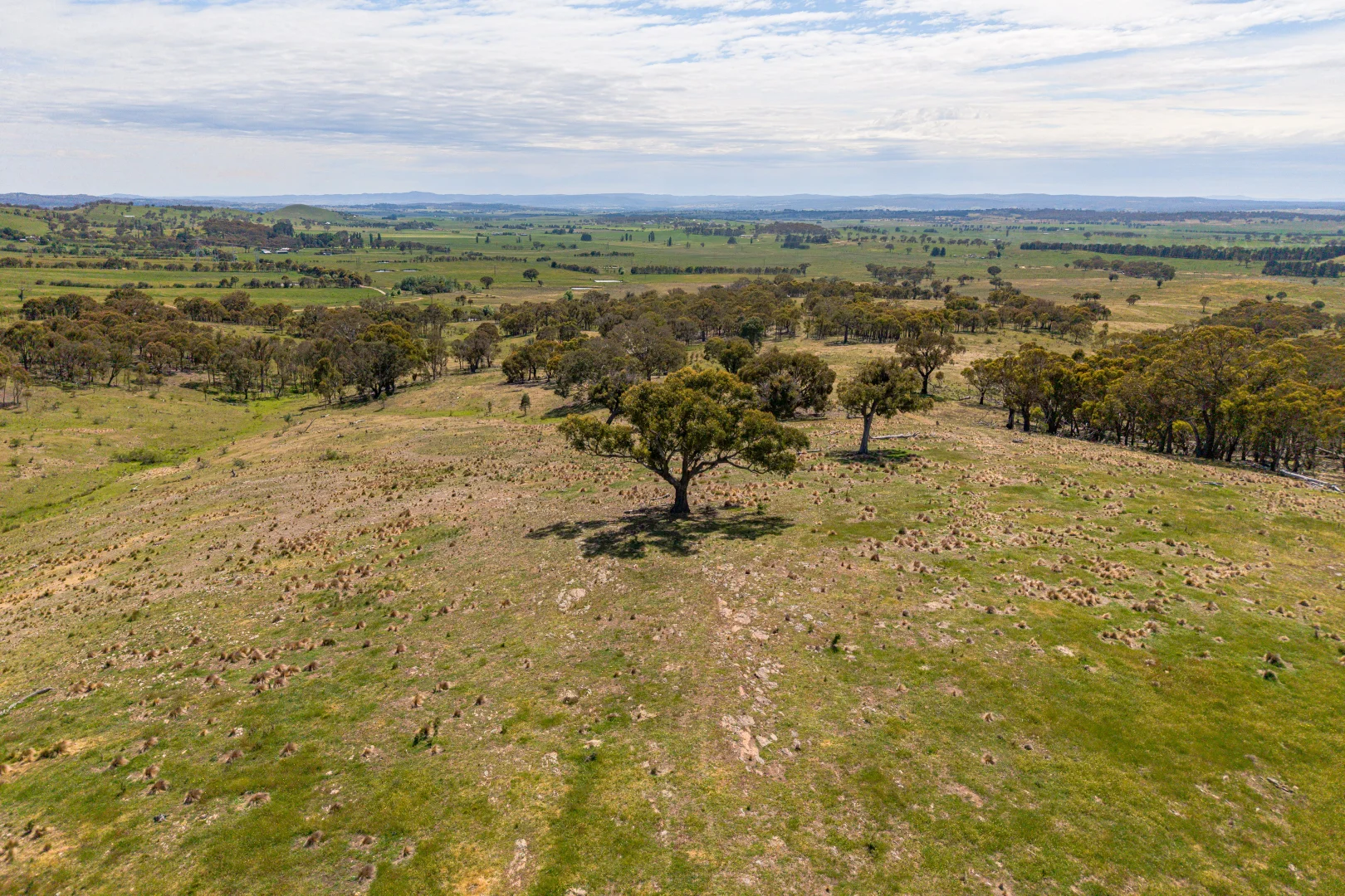 Additional image 63 of 87 Westmead Lane, Sutton NSW 2620