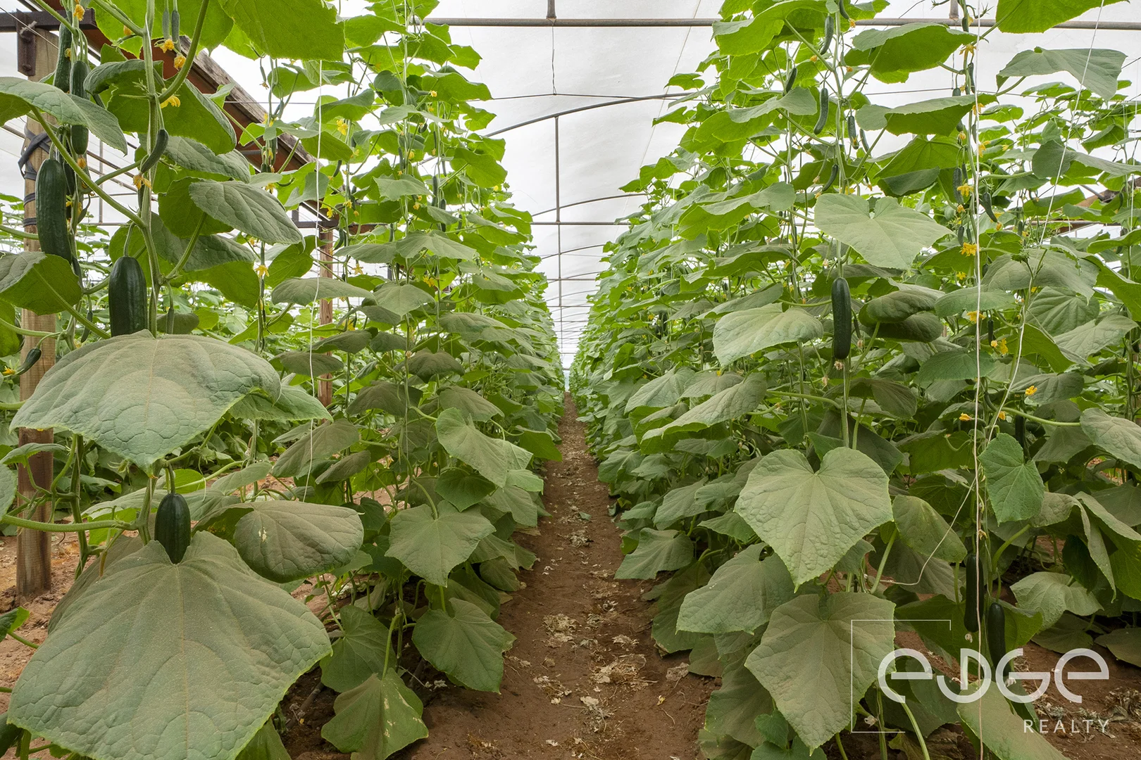 Additional image 10 of Lot 390 Port Gawler Road, Port Gawler SA 5501