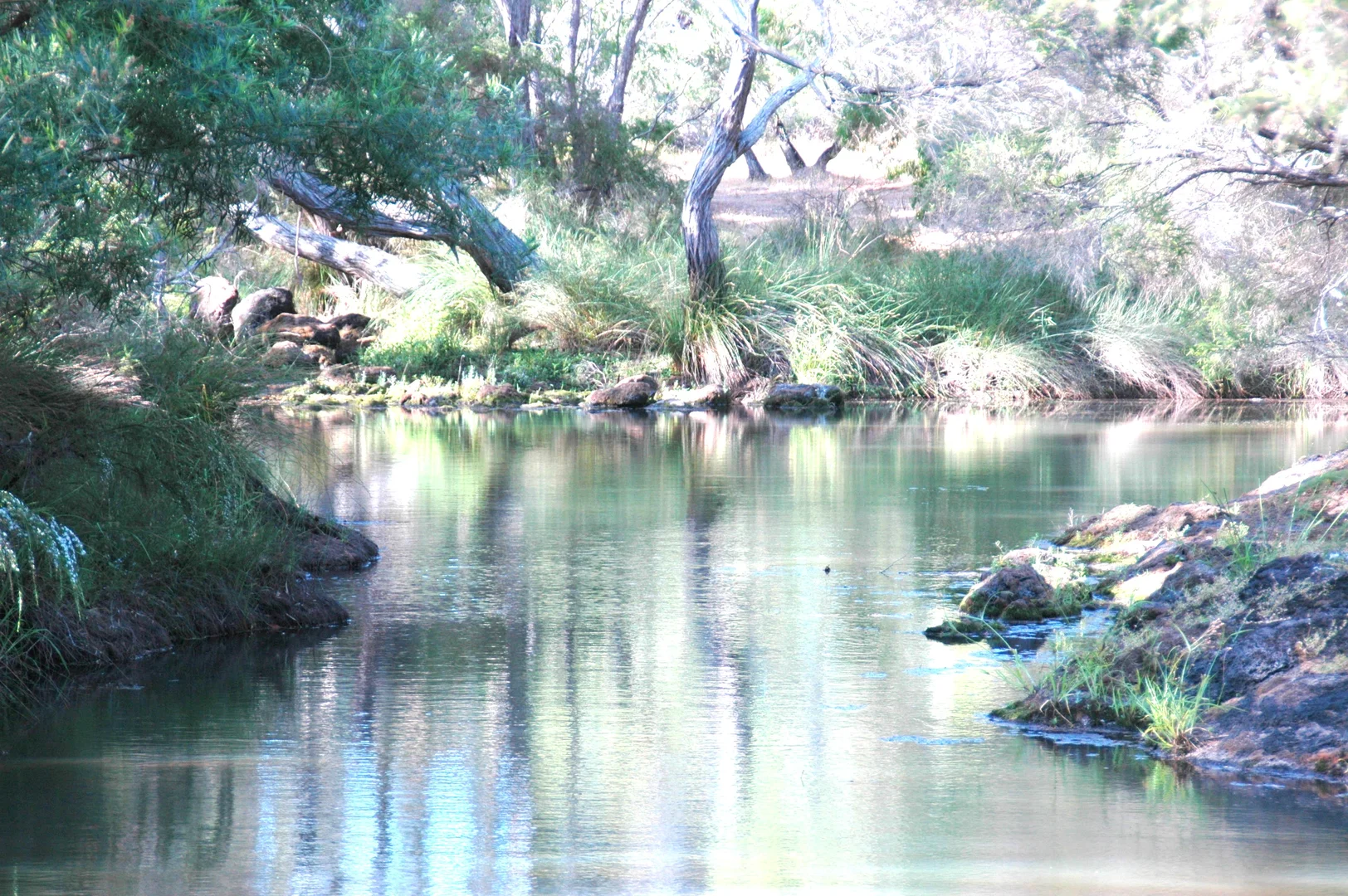 Additional image 24 of 1181 Scott River Road, Scott River WA 6288