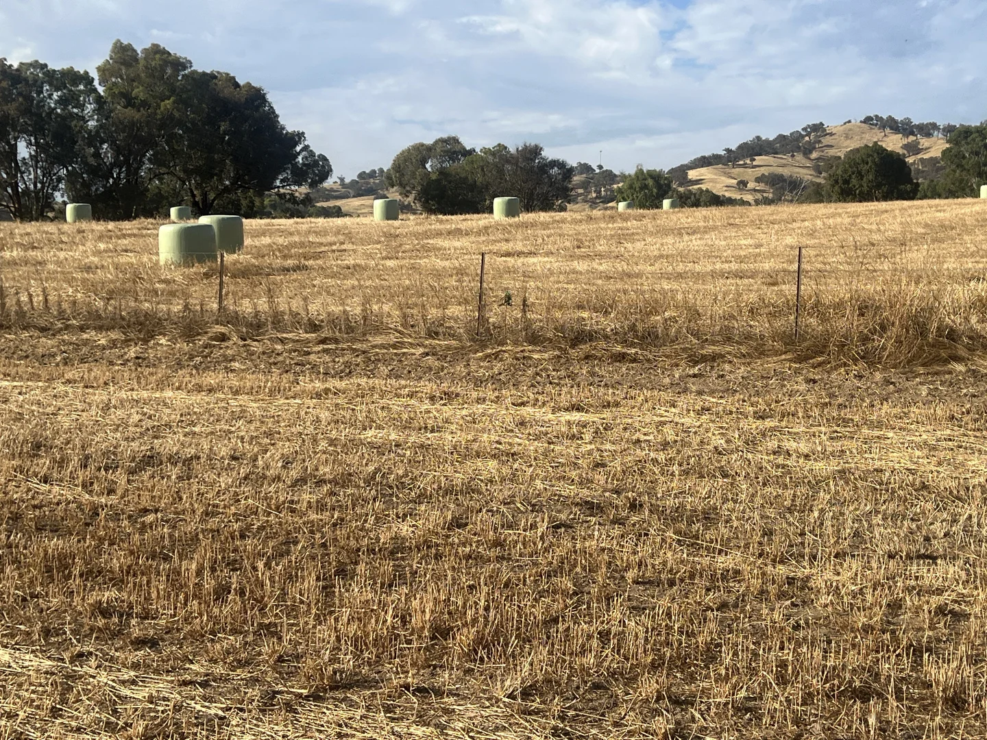 Additional image 6 of Lot 27 Sandy Creek Road, Sandy Creek VIC 3695