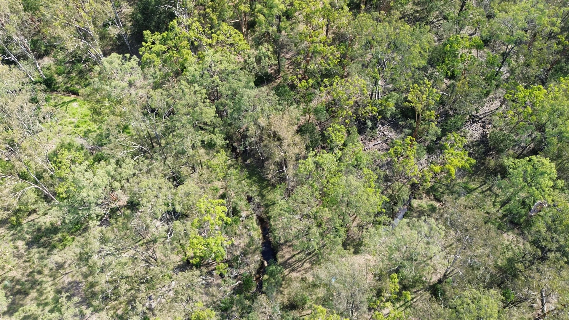 Additional image 10 of 12 Kumbia Road, Ellesmere QLD 4610