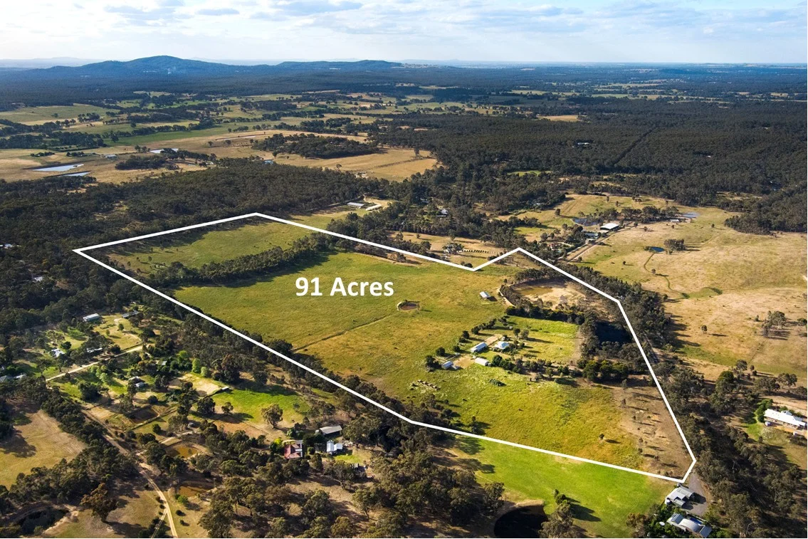 43 Castlemaine-Maldon Road, McKenzie Hill VIC 3451