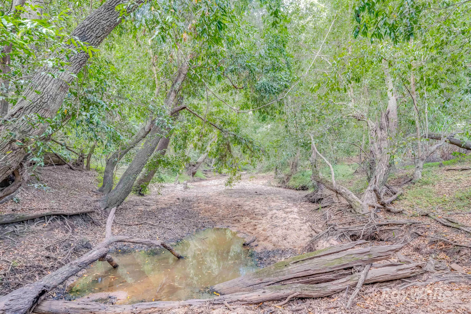 Additional image 20 of 35515 Bruce Highway, Monduran QLD 4671