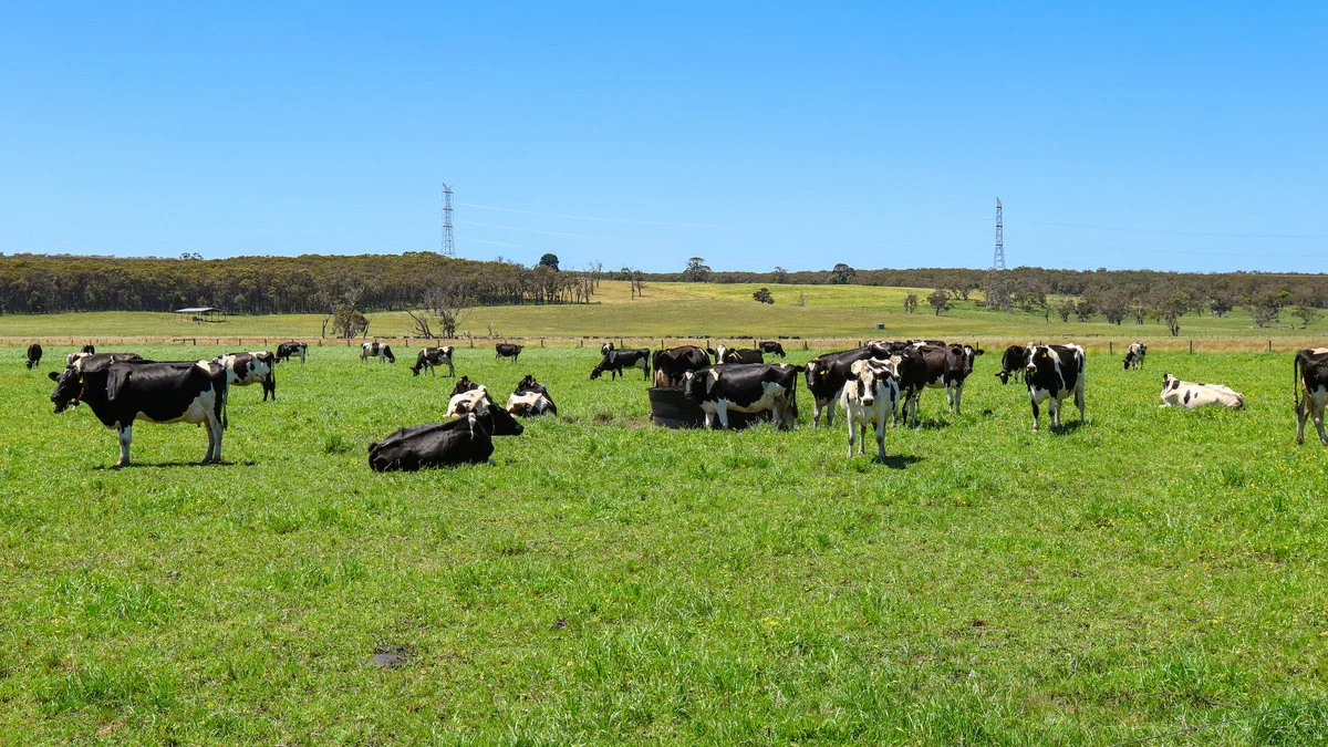 Additional image 33 of 111 Smith Street, Heywood VIC 3304