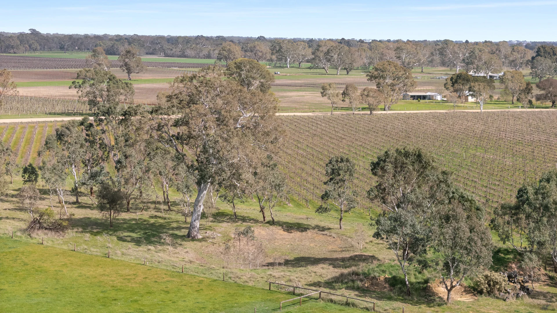 Additional image 12 of Lot 106/108 Dergholm Road, Penola SA 5277