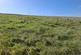 Additional image 15 of Land at Gin Clough, Rainow, Macclesfield
