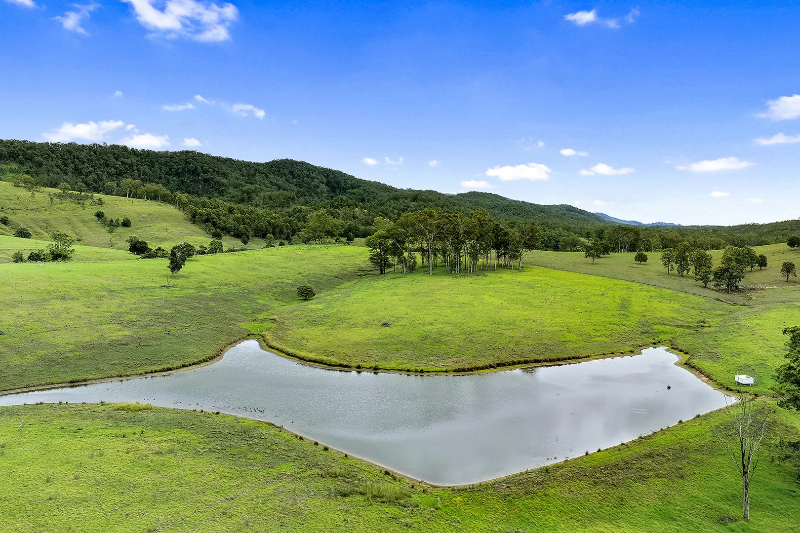 Additional image 6 of Lot 2 2135 The Bucketts Way, Wards River NSW 2422