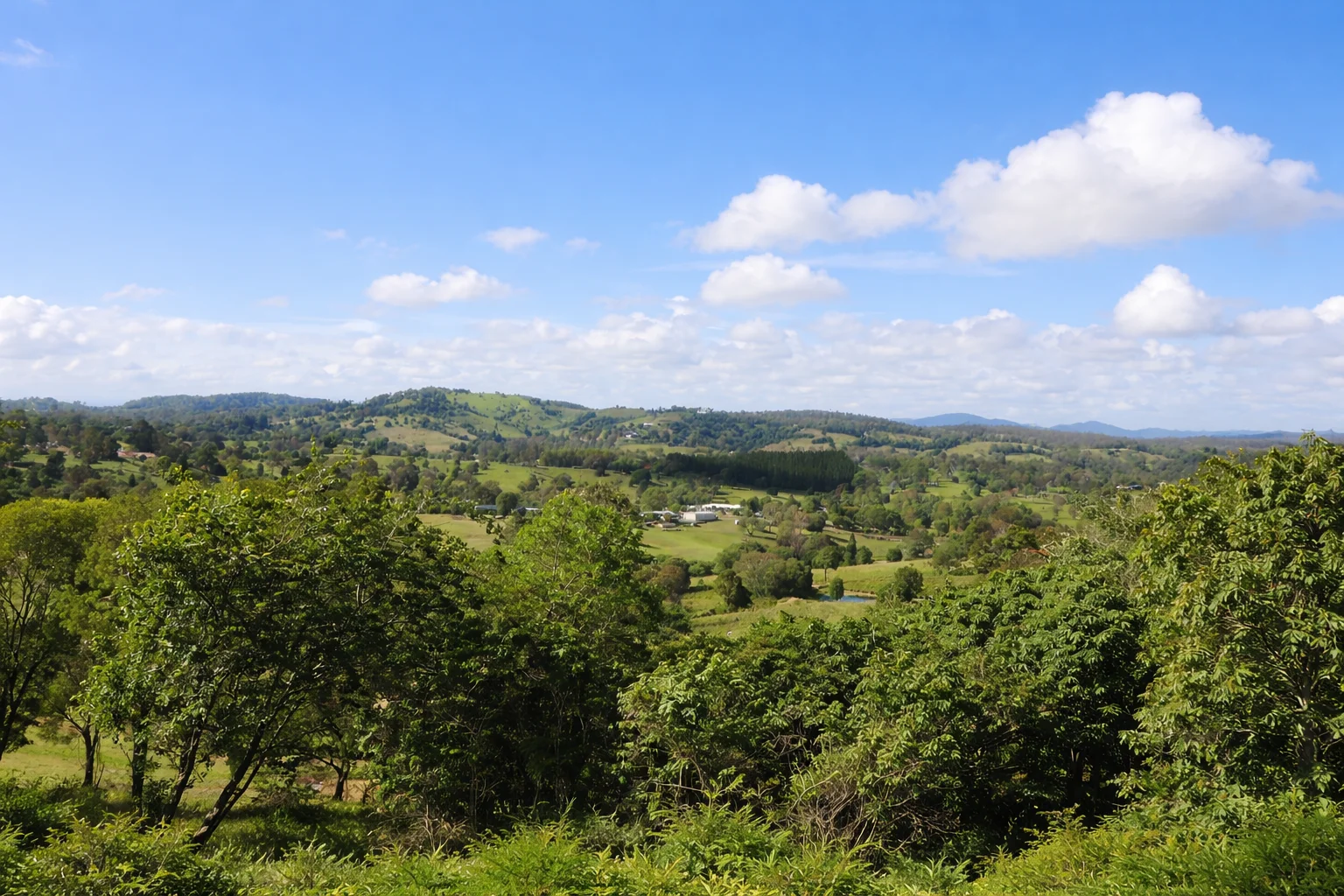 Additional image 10 of 205 Allen Road, Chatsworth QLD 4570