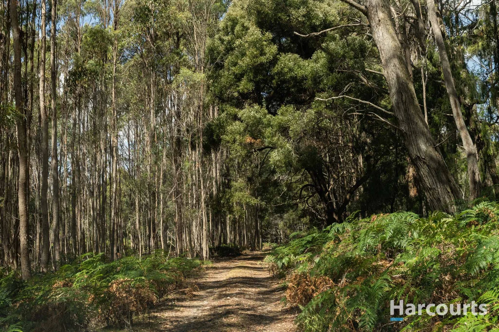 Additional image 3 of 46 Hawleys Lane, Weegena TAS 7304