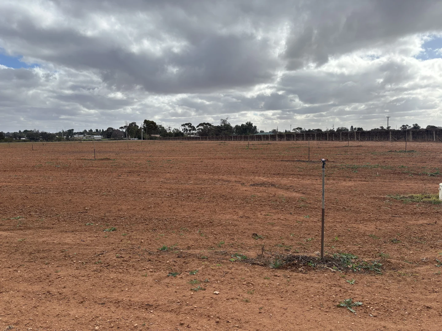 Additional image 7 of Tallawalla Road, Coomealla NSW 2717