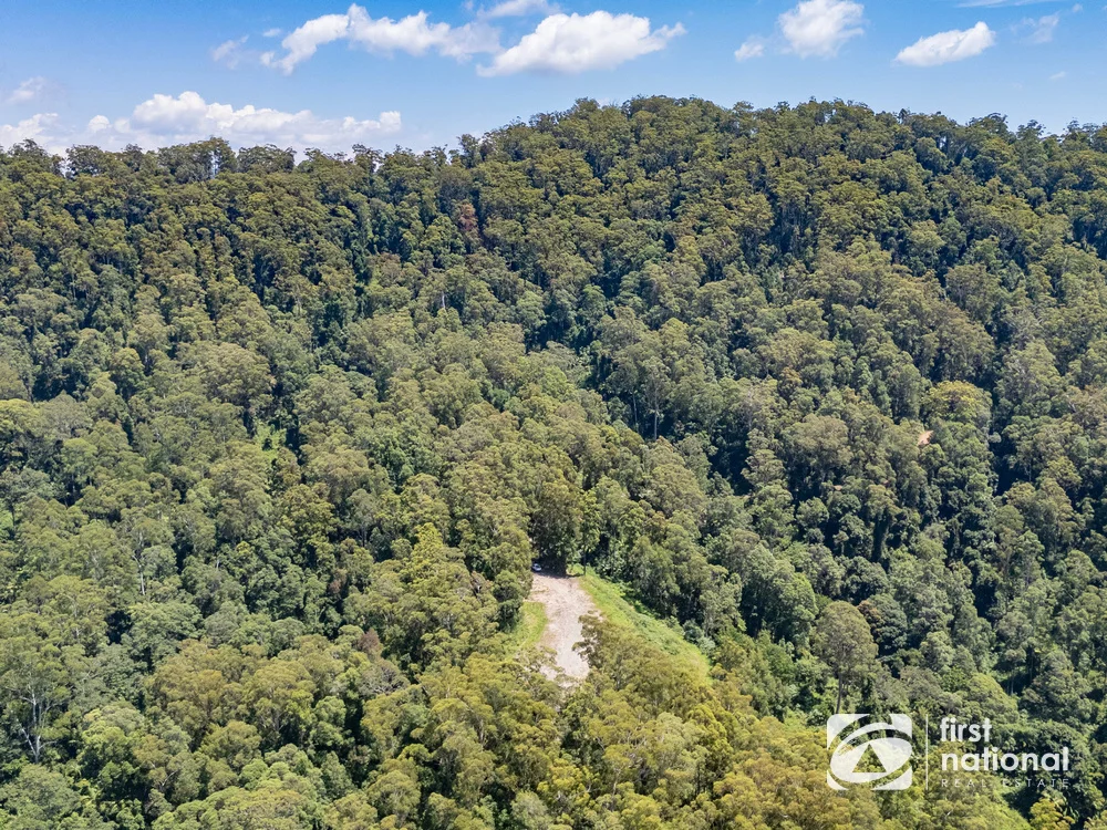Additional image 10 of Lot 65 North Island Loop Road, Upper Orara NSW 2450