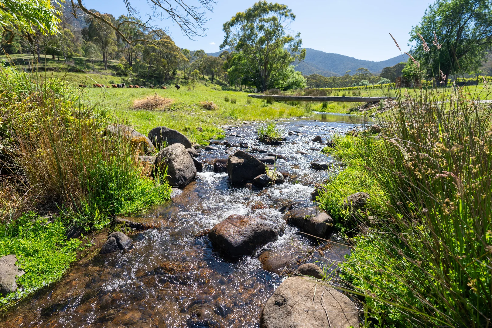 Additional image 21 of 285 Bay Creek Lane, Mongans Bridge VIC 3691