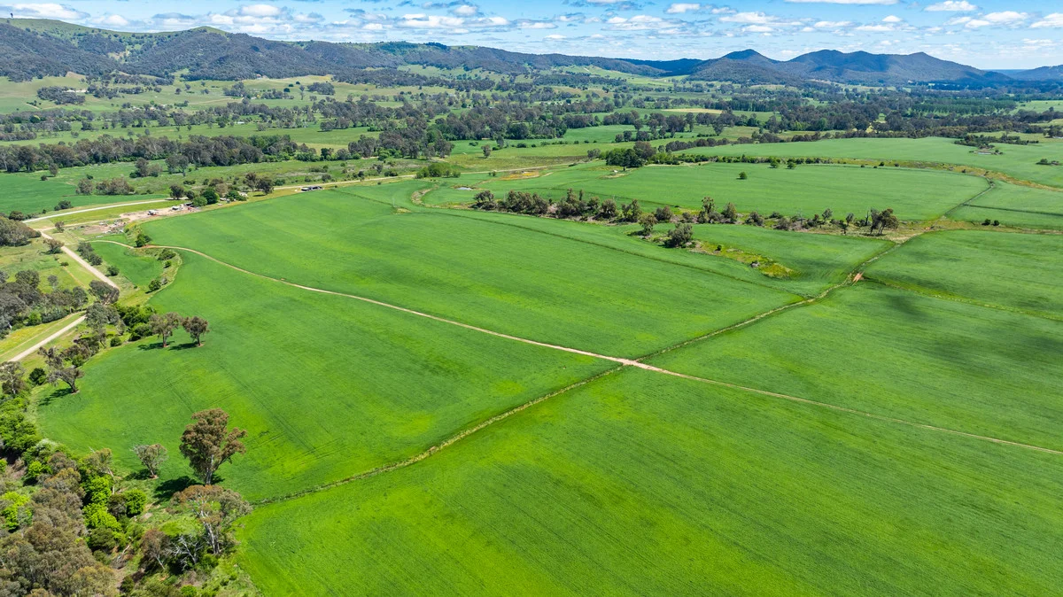 1279 Edi-Cheshunt Road, Whitfield VIC 3733