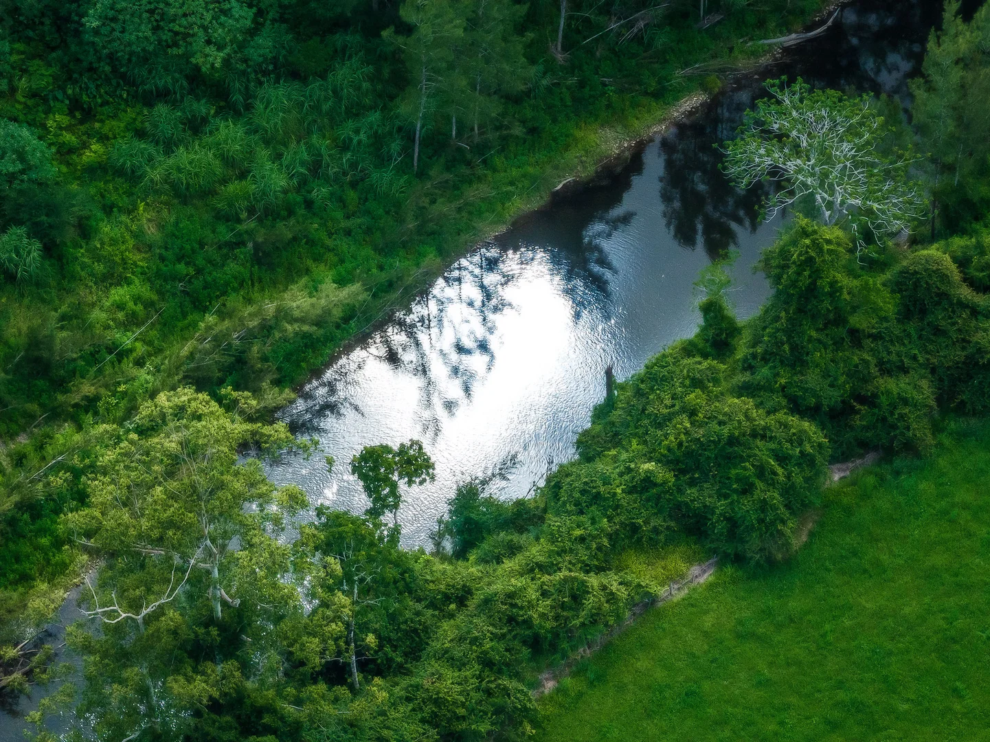 Additional image 35 of 2791 Waterfall Way, Thora NSW 2454